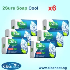 2SURE COOL WITH MENTHOL SOAP BAR 70G