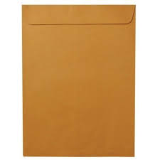 BROWN ENVELOPE BIG