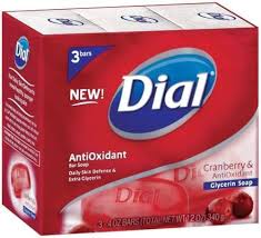 DIAL ANTIOXIDANT SOAP BY 3
