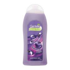 GENTELLE HAND WASH BLUEBERRY