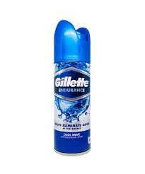 GILLETTE ENDURANCE SPRAY