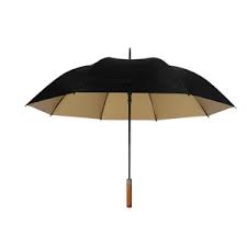 GOLDENRAIN  UMBRELLA