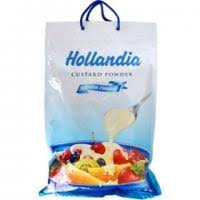 HOLLANDIA CUSTARD VANILLA 2KG