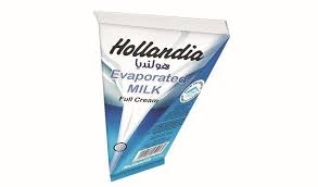 HOLLANDIA SOYA MILK 100ML