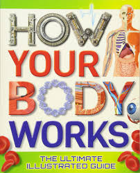 HOW YOUR BODY WORKS THE ULTIMATE ILLUSTRAT