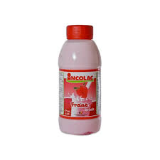 INCOLAC STRAW FLAVOUR MILK 0.5L