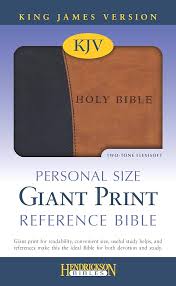 KJV HILSON PERSONAL REFERENCE BIBLE