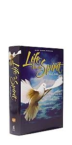 KJV LIFE IN THE SPIRIT STUDY BIBLE