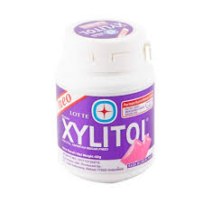 NEO LOTTE XYLITOL BLUBERI MINT