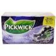 OSLIV PICKWICK GREEN TEA BLACKCURRNT