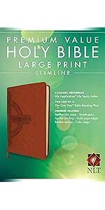 PREMIUM VALUE HOLY BIBLE