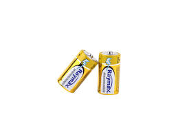 RAYMAX ALKALINE BATTERY LR14 AM2