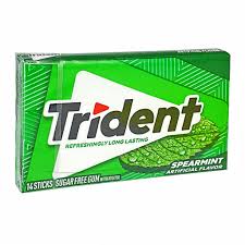 TRIDEN GUM 204G